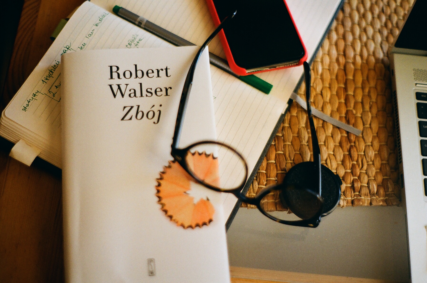 „Zbój” Roberta Walsera, czyli jak zachęcić do lektury zniechęcając?